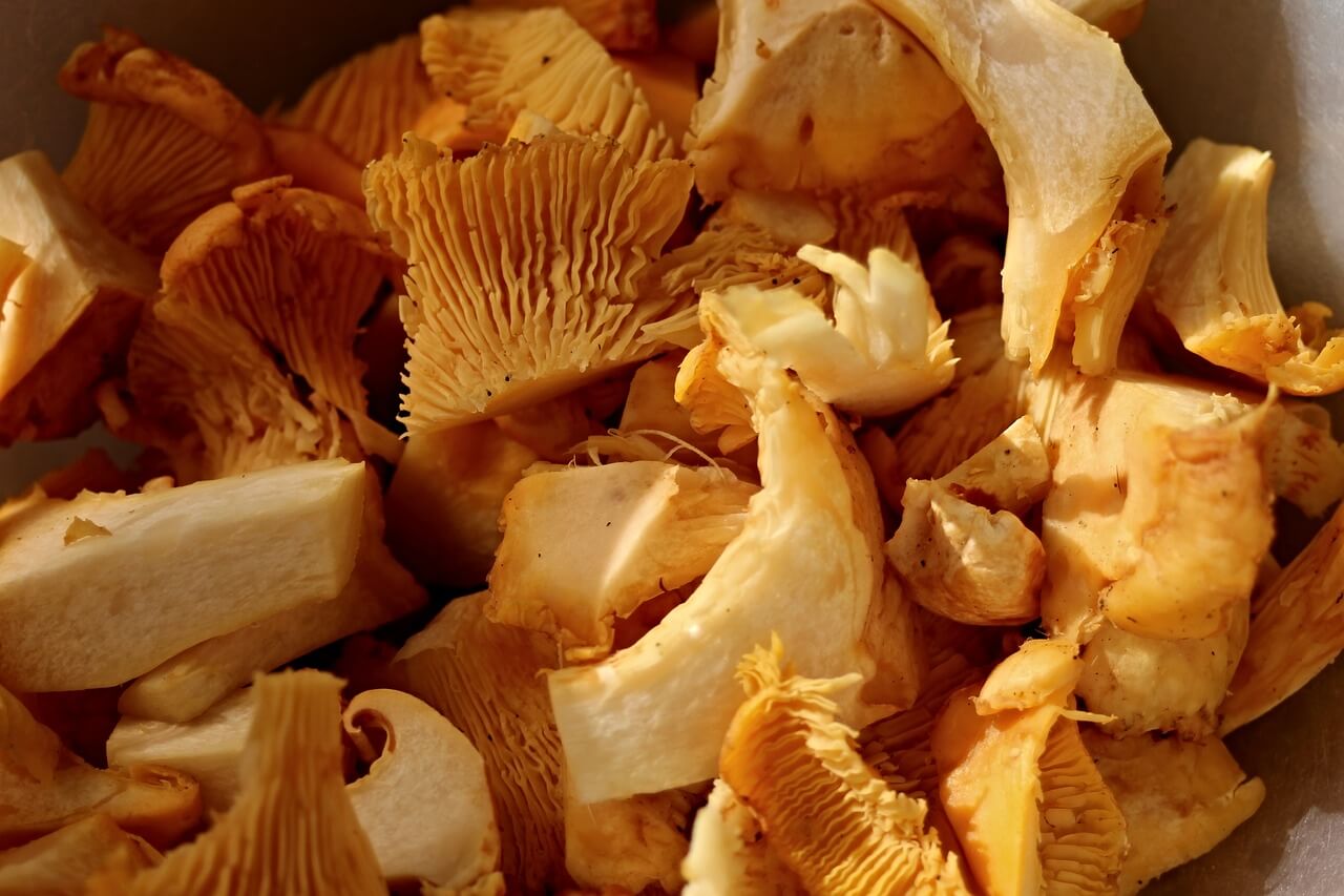 how to prepare chanterelle mushrooms