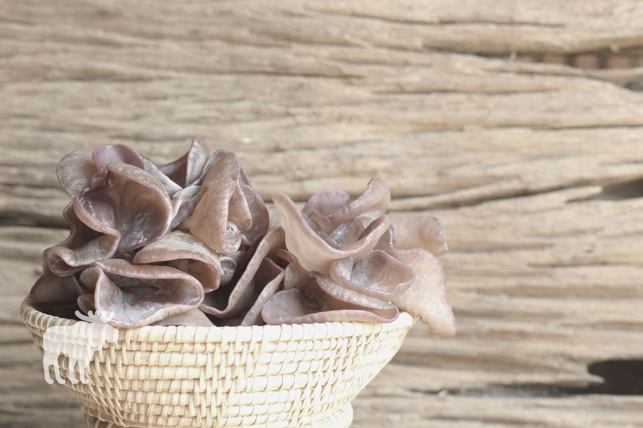 What is the Best Way to Clean Wood Ear Mushrooms